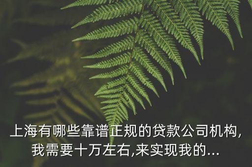 上海有哪些靠譜正規(guī)的貸款公司機構(gòu),我需要十萬左右,來實現(xiàn)我的...