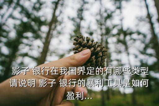  影子 銀行在我國(guó)界定的有哪些類型請(qǐng)說(shuō)明 影子 銀行的暴利工具是如何盈利...