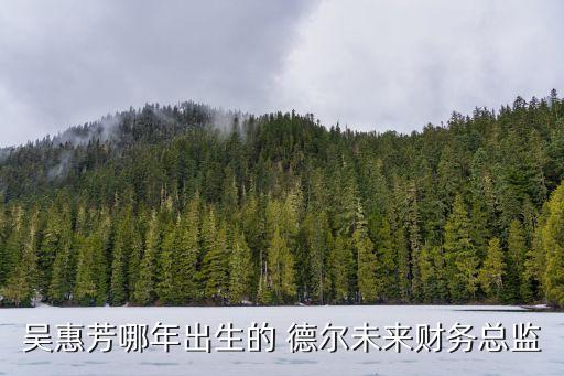 吳惠芳哪年出生的 德爾未來財務(wù)總監(jiān)