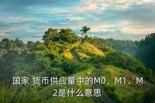 國家 貨幣供應(yīng)量中的M0、M1、M2是什么意思