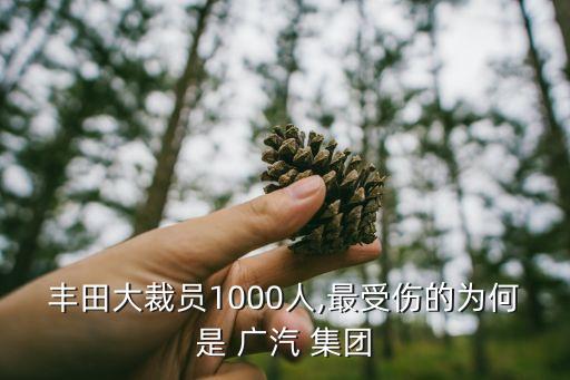 廣汽集團的成立批準(zhǔn)文號
