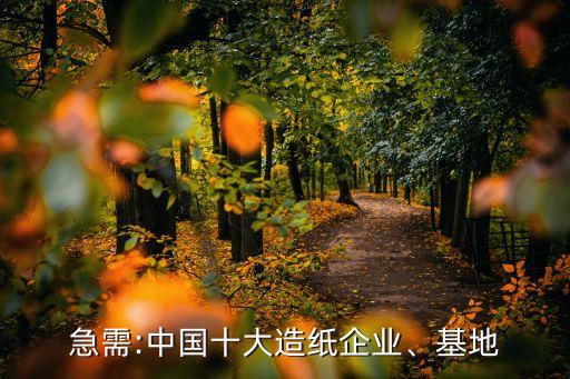 急需:中國十大造紙企業(yè)、基地