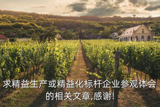 求精益生產(chǎn)或精益化標桿企業(yè)參觀體會的相關文章,感謝!