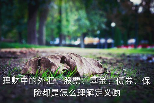 理財(cái)中的外匯、股票、基金、債券、保險(xiǎn)都是怎么理解定義喲