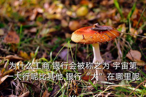 為什么工商 銀行會(huì)被稱之為 宇宙第一大行呢比其他 銀行“大”在哪里呢...