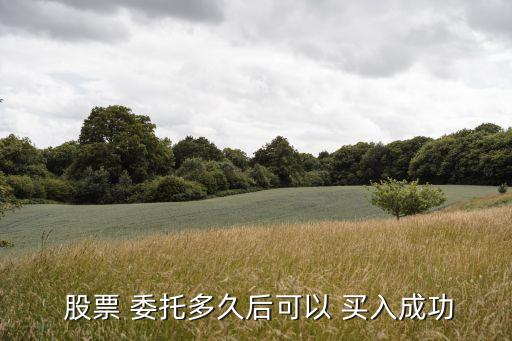  股票 委托多久后可以 買(mǎi)入成功