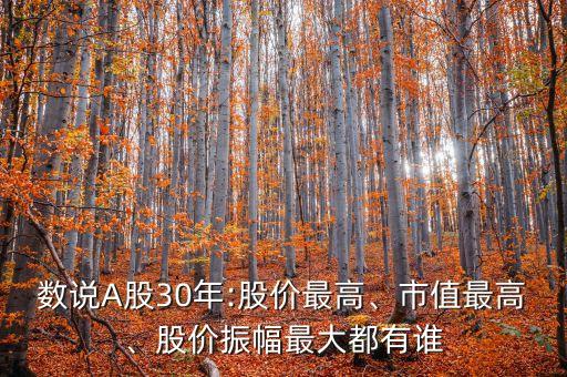 數(shù)說A股30年:股價最高、市值最高、股價振幅最大都有誰