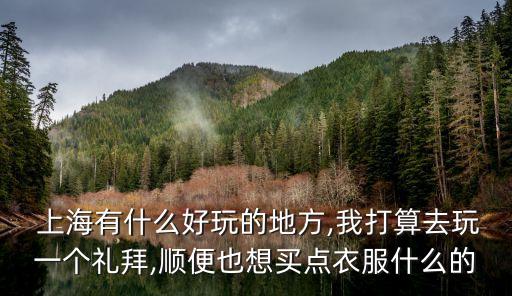  上海有什么好玩的地方,我打算去玩一個禮拜,順便也想買點(diǎn)衣服什么的