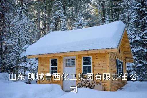 山東 聊城魯西化工集團有限責(zé)任 公司