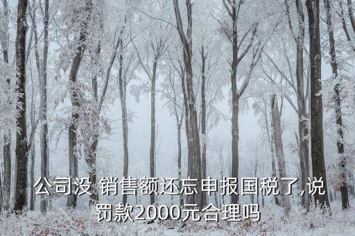  公司沒(méi) 銷售額還忘申報(bào)國(guó)稅了,說(shuō)罰款2000元合理嗎