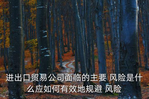 跨國公司進(jìn)入其他國家的風(fēng)險案例