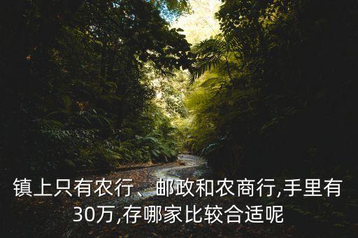 鎮(zhèn)上只有農(nóng)行、郵政和農(nóng)商行,手里有30萬,存哪家比較合適呢