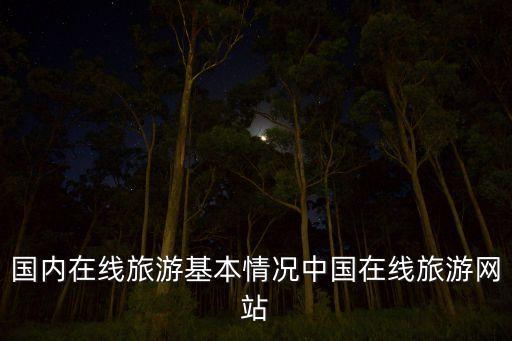 國(guó)內(nèi)在線旅游基本情況中國(guó)在線旅游網(wǎng)站