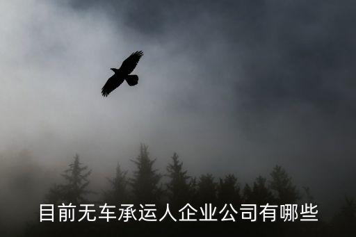 目前無(wú)車承運(yùn)人企業(yè)公司有哪些