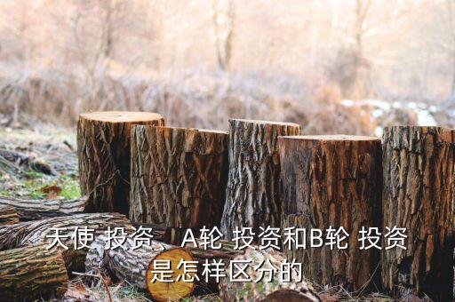 天使 投資、A輪 投資和B輪 投資是怎樣區(qū)分的