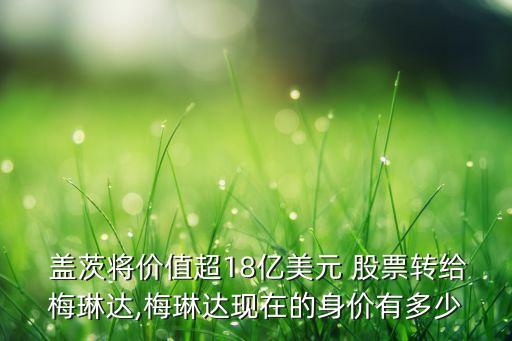  蓋茨將價值超18億美元 股票轉(zhuǎn)給梅琳達(dá),梅琳達(dá)現(xiàn)在的身價有多少