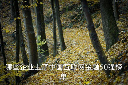 哪些企業(yè)上了中國互聯網金融50強榜單