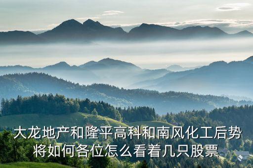 大龍投資與美景房地產同一起嗎