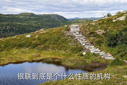  銀聯(lián)到底是個(gè)什么性質(zhì)的機(jī)構(gòu)