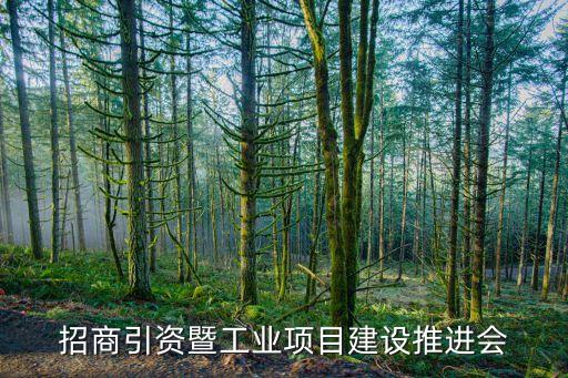 招商引資暨工業(yè)項目建設推進會