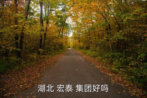 湖北 宏泰 集團(tuán)好嗎