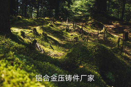 鋁合金壓鑄件廠(chǎng)家