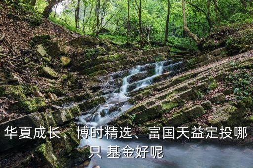 華夏成長、博時(shí)精選、富國天益定投哪只 基金好呢