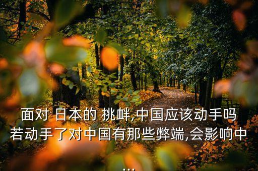 面對 日本的 挑釁,中國應(yīng)該動(dòng)手嗎若動(dòng)手了對中國有那些弊端,會影響中...