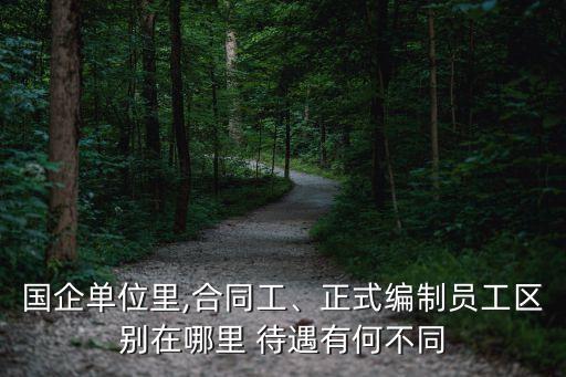 國(guó)企單位里,合同工、正式編制員工區(qū)別在哪里 待遇有何不同