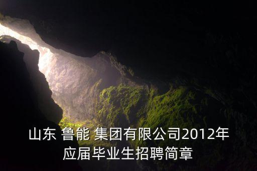 山東 魯能 集團(tuán)有限公司2012年應(yīng)屆畢業(yè)生招聘簡章
