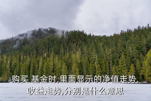 購買 基金時(shí),里面顯示的凈值走勢,收益走勢,分別是什么意思
