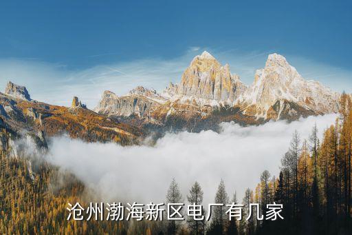 河北華潤電力首陽山有限公司,華潤電力首陽山有限公司機(jī)組多少