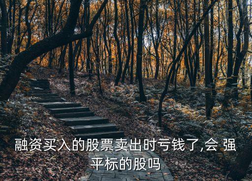 融資買入的股票賣出時(shí)虧錢了,會 強(qiáng)平標(biāo)的股嗎