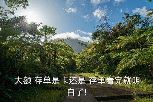  大額 存單是卡還是 存單看完就明白了!