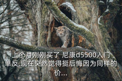 上個月剛剛買了 尼康d5500入門單反,現(xiàn)在突然覺得挺后悔因為同樣的價...