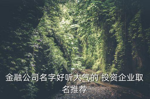 金融公司名字好聽(tīng)大氣的 投資企業(yè)取名推薦