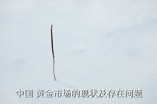中國(guó) 黃金市場(chǎng)的現(xiàn)狀及存在問題