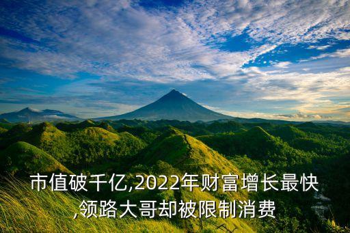 聯(lián)拓集團退市警告