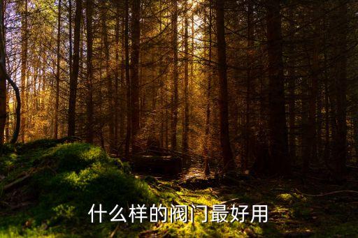 什么樣的閥門(mén)最好用