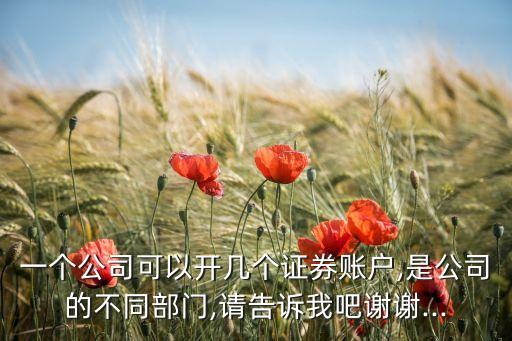 一個(gè)公司可以開(kāi)幾個(gè)證券賬戶(hù),是公司的不同部門(mén),請(qǐng)告訴我吧謝謝...