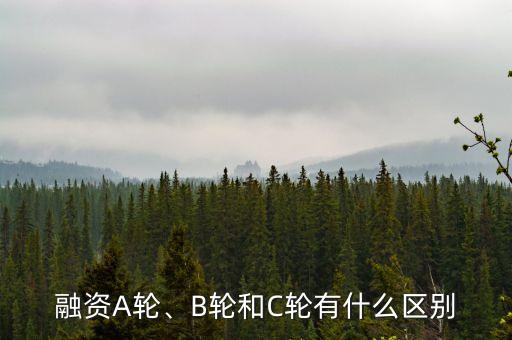 投資輪次是什么意思,融資有幾輪才可以上市
