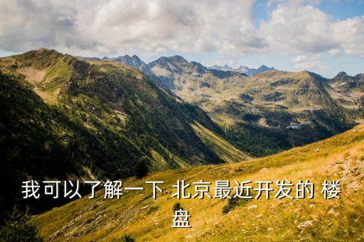 我可以了解一下 北京最近開(kāi)發(fā)的 樓盤
