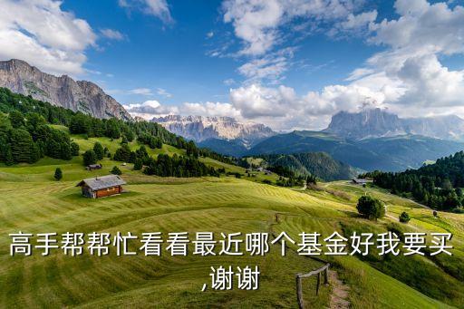 高手幫幫忙看看最近哪個(gè)基金好我要買,謝謝