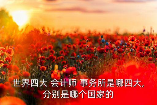 世界四大 會計(jì)師 事務(wù)所是哪四大,分別是哪個國家的