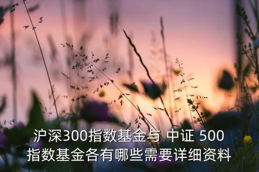 滬深300指數基金與 中證 500指數基金各有哪些需要詳細資料