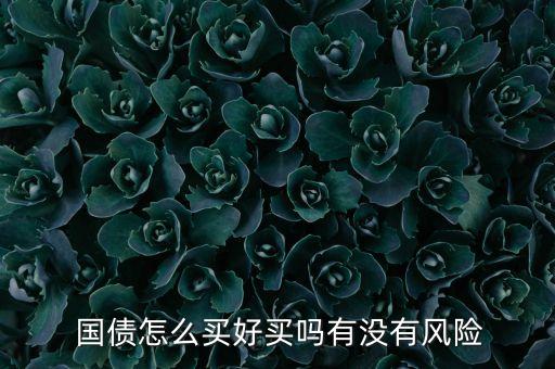 工行和北京銀行的國(guó)債一樣嗎
