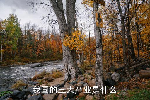 中國第三產(chǎn)業(yè)的發(fā)展,如何推動(dòng)第三產(chǎn)業(yè)的發(fā)展