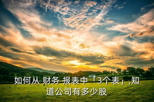 如何從 財務 報表中「3個表」,知道公司有多少股