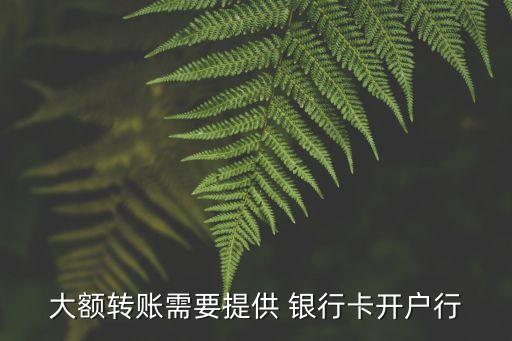 大額轉(zhuǎn)賬需要提供 銀行卡開戶行