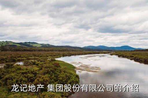  龍記地產(chǎn) 集團股份有限公司的介紹